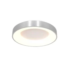 Steinhauer Plafondlamp Ringlede - 1 Lichts - 38x9 Cm - Zilver