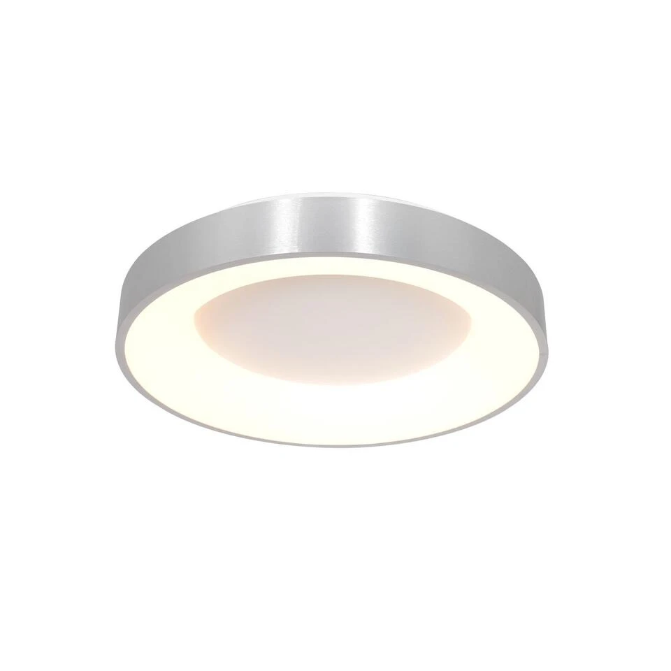 Steinhauer Plafondlamp Ringlede - 1 Lichts - 38x9 Cm - Zilver