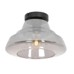 Steinhauer Plafondlamp Reflexion - 1 Lichts - 30x19.5 Cm - Zwart