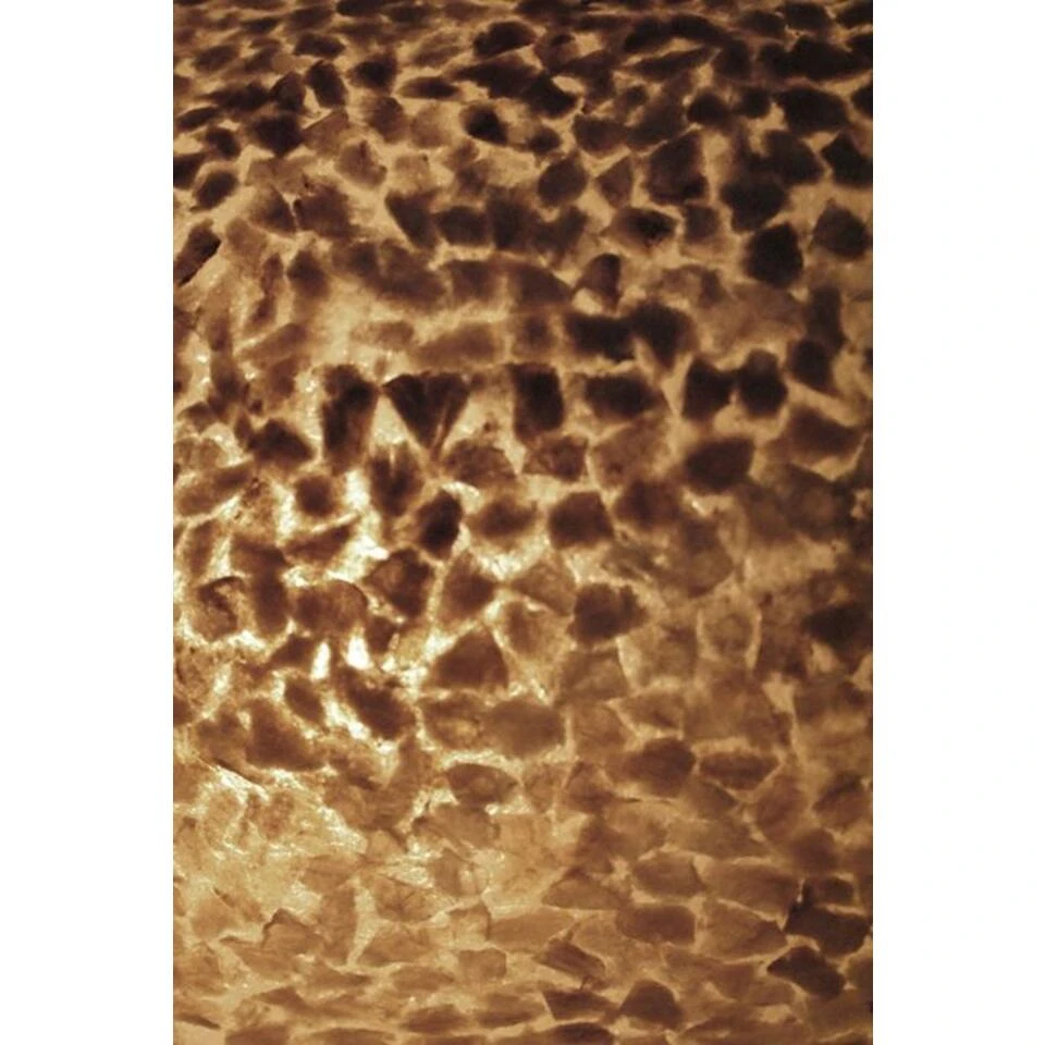 VillaFlor Tafellamp Schelp - 1 Lichts - 40 X30 Cm - Creme - Afbeelding 2