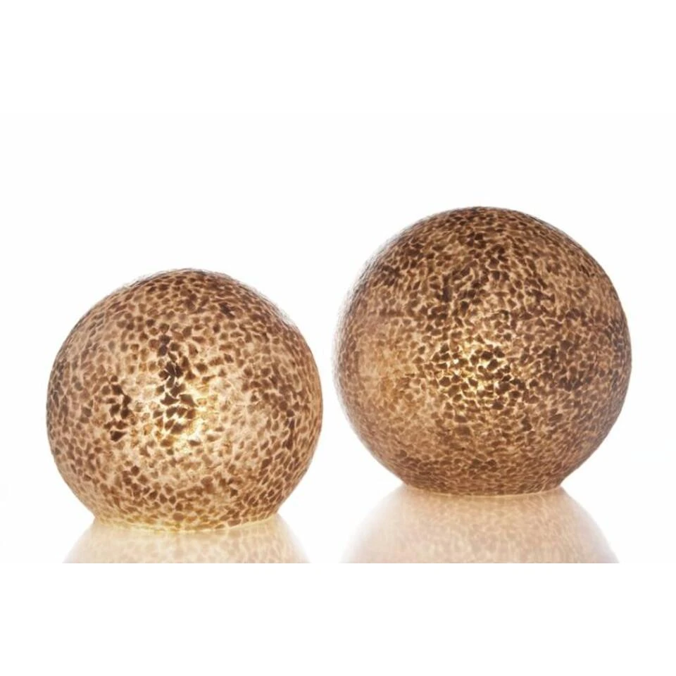 VillaFlor Tafellamp Schelp - 1 Lichts - 40 X30 Cm - Creme - Afbeelding 4